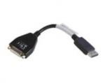 LENOVO DisplayPort DVI-D kaabel 43N9160, DVI-D, DisplayPort,