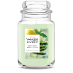 Yankee Candle Kurgi-mint jook 22 g