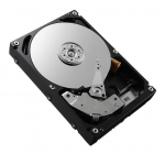 Dell 300GB 10K 2.5 SAS 6G TAASTATUD