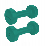 DUMBBELLS HENDOGON 2X2KG