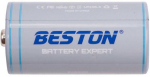HiSmart C Battery with USB-C Port 1.5V 2300mAh
