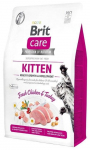 BRITCARE KITTEN HEALTHY GROWTH 2KG