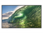 Philips 50"" D-LED ECO-design 4K Display, Android10, 18/7