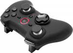 SpeedLink RAIT Bluetooth Gamepad for Nintendo Switch