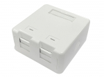 Lanview Surface mount box for 2 x RJ45 jack