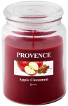 PROVENCE Candle apple cinnamon 14x10x10cm