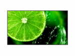 Sharp/NEC E988 98"" Essential display, 24/7, Direct LED Backlight,
