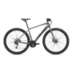 Giant Ratta ToughRoad SLR 2, Metall (L)