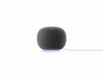 Google Home Speaker lykaiutin, phkinnruskea (GA10554-EU)