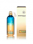 Montale Aoud Lagoon Parfum EDP 100 ml