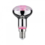 Paulmann 287.34 LED bulb 1300 K 4 W E14