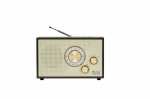 Eltra Raadio OR SOWIK USB/BT tumepruun