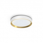 PHILIPS HANNO CEILING SS RD 24W 27K W_ G