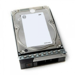 DELL SERVER HDD 12TB 7,2K NLSAS/3,5'' 14GEN 161-BCJX