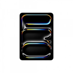 APPLE iPad 11-tolline Pro WiFi 2TB standardklaasiga Kosmosemust