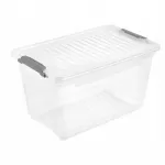 Keeeper Karp kaanega Leonie 28,5x18,5x16 cm, 5,4L, lbipaistev
