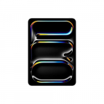 APPLE iPad 11-tolline Pro WiFi 2TB standardklaasiga hbe