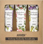Anwen 3 osakviti komplekt krge poroosuse jaoks - 100 ml (ANW-195)