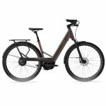 TENWAYS Elektrilised jalgrattad Ago Performance, 29" Walnut Brown