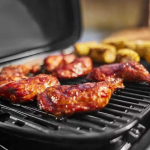 Weber 1500553 Traveler Compact
