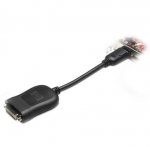 HP DisplayPort (DP) to DVI-D Adap Adapter, DisplayPort To DVI