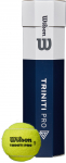 Wilson Triniti Pro tennisepallid, 4 tk (WR8204801001)