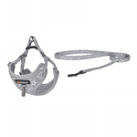 Dogness koerarihm komplekt vtlesega (helehall)