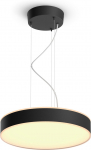 Philips Hue Enrave valge ambiance rippvalgusti, must (915005998101)