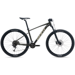 Bicycle GIANT Talon 29 2 GE, Phantom Green (L)