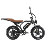 APE RYDER Elektrirattur Mandrill Ultra Black