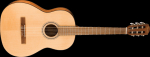 Fender CN-30 nailonakustiline kitar (0973060121)