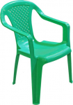 IPAE-PROGARDEN Camelia Green