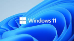 MICROSOFT OEM Win Pro jaoks Wrkstns 11 PL x64 HZV-0011