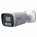 Evolveo Detektiiv POE8 Bullet IP-kaamera Vljas 1920 x 1080 pikslit Sein