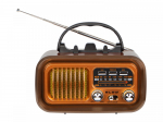 BLOW Kandev analoog AM/FM raadio RA16 pikeseenergial