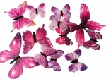 Fusion Accessories Fusion luminatsioonilised kleebid maguletile "Lints" 12 tk (roosa)