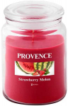PROVENCE Candle strawberry AND amp;melon 14x10x10cm