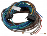 TomTom Business Webfleet I/O Passthrough - ColdChain