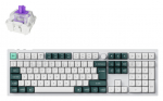 Keychron Q6 HE 100% mngupad, valge (Q6H-P1-BO)