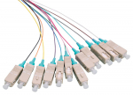 LOGON PROFESSIONAL Fiber Pigtail Set 12x SC OM3 2M Colored with Aqua