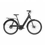 Electric bicycle TENWAYS AGO T, Black