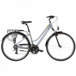 Women's bicycle ROMET Gazela 0, gray-green (M)