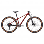 Liv Noorte jalgratas Tempt 2, 27,5" XS, Mars Dust