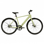 Electric bicycle TENWAYS CGO600 PRO, Avocado Green (XL)