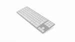 Matias FK308 Mac Tenkeyless Silver