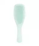 Tangle Teezer parim peen ja habras lame harjas habrastele juustele, jsinine