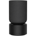 BANG AND OLUFSEN Beosound Balance AL2 must tamm - FLEX