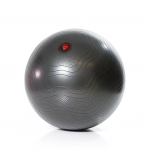 Gymnastic ball GYMSTICK Exercise Ball 65 cm