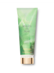 Victoria's Secret Beneath The Palms kehakream 236 ml