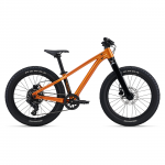Giant Laste jalgratas STP 20, metallikoran